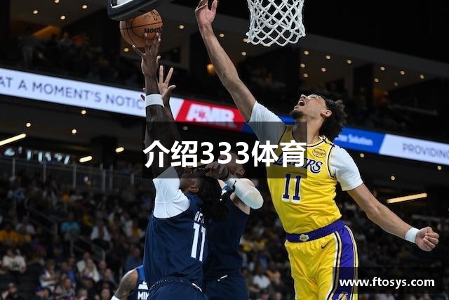 介绍333体育